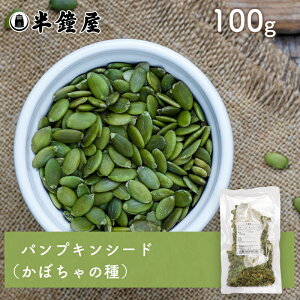 pvLV[hiڂ̎j100giفEpj