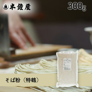 Εi߁j300giVstEEł\oj