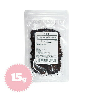 ubNybp[iRVEEӞEz[j15giEpX^j