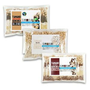 RY ʖ܍uh 5{i2p×5܁jiG͂EYj