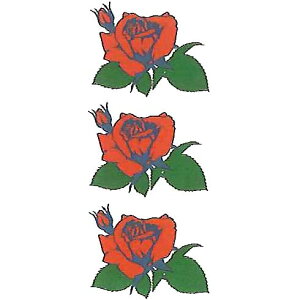 uKNiojEvyPaperTattooEzyՉρziȈՓnjy17.5cm×10cm̃M[TCYIz