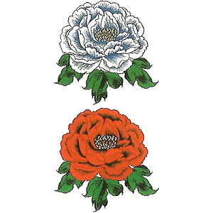 uԉOEOEvyPaperTattooEzyՉρziȈՓnjy17.5cm×10cm̃M[TCYIz