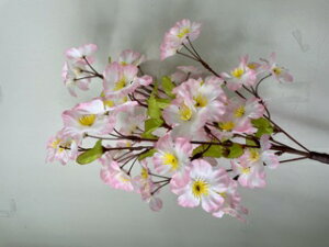 {xAmÁE{ԗpAԂ̎}Ay}@i|GXejE݂isDzjzgt̎}AU}