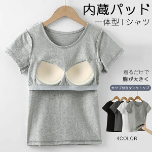 y[Iz_ 50%OFF^11600~ITVc fB[X gbvX Jbvt seBX EFA fB[X n oCJ[ Vv mC[ X|[cEFA _X   gbvX 