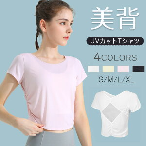 TVc KEFA gbvX fB[X n oCJ[ Vv mC[ X|[cEFA _X   KEFA ^ ؍ EGXg ׌ X|[c tBbglX UVJbg