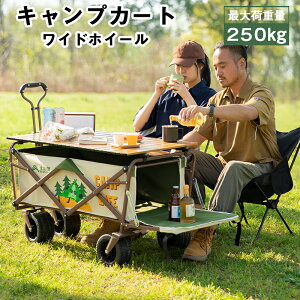 P10{I AEghAS J u[Lt L[J[g L[S ω׏d250kg ܂肽 ^^C e 180L 4 J悯VF[h e[u [ e Ch^C y
