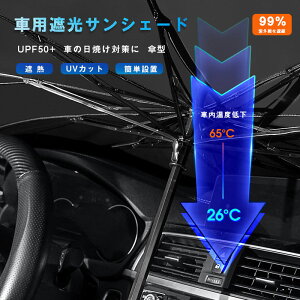TVF[h  P tgKX  y tgTVF[h ԗp ܂肽 6wH 10{ 悯  uv OJbg O΍ Ռ fM vCoV[ی ΍ 