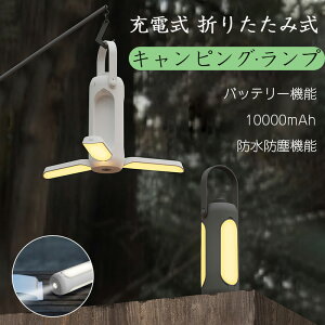 y ԌFP10zzIzLED ^ Cg [d ܂肽ݎ Px 10000mAh 邢  h y ֗ d AEghA nfBCg USB ݂艺 ho ~j O L