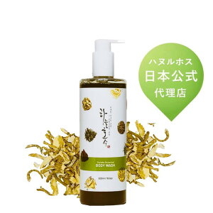 {^jJێ{fB\[v@500mlyؕ 100 I[KjbN VR RX SKYLAKEz