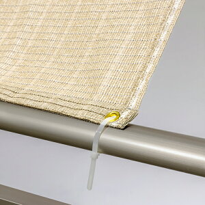 VF[ht 悯 VF[h  VF[hI[jO t VF[htoh 10{g tks-1