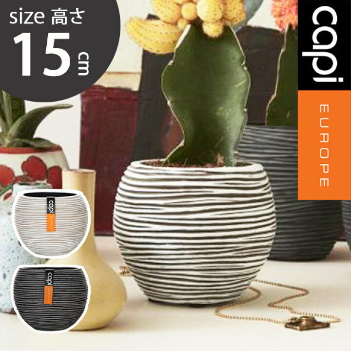 楽天市場】植木鉢 大型植木鉢 Capi 軽量 樹脂製 鉢 5号 室内用 グラン 