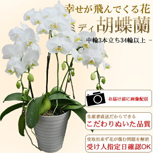 jEMtgEv[g/~fBӒ  3{E34ֈȏ(ڂ݊܂)/s//a j LO oYj JX j zj  w ̓ h