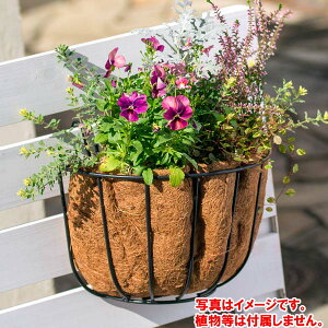 ハンギングバスケットの通販 価格比較 価格 Com