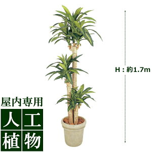 /lHA/O[fR@hZi@K̖؁@1.7m//RCP/05P03Sep16/yHLS_DUz