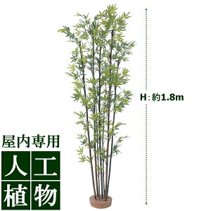 /lHA/O[fR@|7{@1.8mij//RCP/05P03Sep16/yHLS_DUz