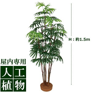 /�l�H�A��/�O���[���f�R�@�V�����`�N5�{���@�����@1.5m/��������/RCP/05P03Sep16/�yHLS_DU�z