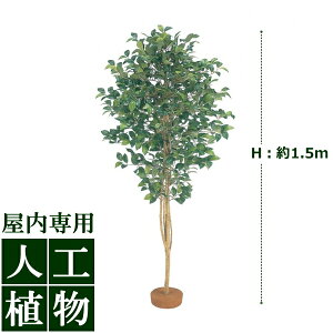 /�l�H�A��/�O���[���f�R�@�c�o�L�@�����@1.5m/��������/RCP/05P03Sep16/�yHLS_DU�z