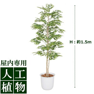 /�l�H�A��/�O���[���f�R�@�S�[���f�����[�t�@1.5m/��������/RCP/05P03Sep16/�yHLS_DU�z
