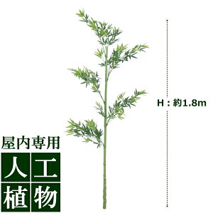 /lHA/O[fR@|1{@1.8m/RCP/05P03Sep16/yHLS_DUz