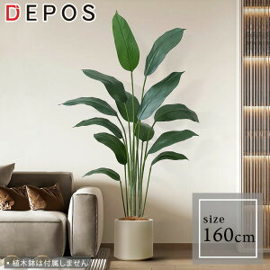r[Tt tFCNO[ ^  ϗtA tFCN A     A S ȒP Xg`A 160cm y^zցz