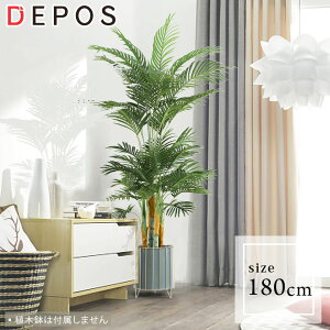 r[Tt tFCNO[ ^ ϗtA tFCN A    i` A S ȒP V 180cm Palm tree y^zցz