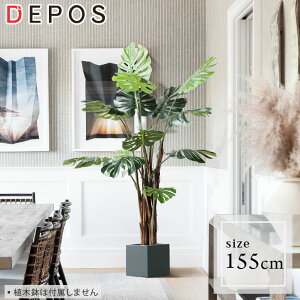 r[Tt tFCNO[ ^  ϗtA tFCN O[ i` A Xe 155cm Monstera tree y^zցzhnw1