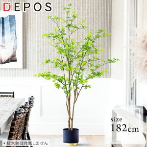 r[Tt tFCNO[ ^  ϗtA tFCN A    O[ i` hE_ccW 182cm Bell tree y^zցzhnw1