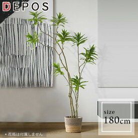 先行予約8月中旬入荷予定 フェイクグリーン おしゃれ 観葉植物 フェイク リアル 造花 木 Dracaena Song of India ドラセナ ソングオブインディア 【大型宅配便】hnw1