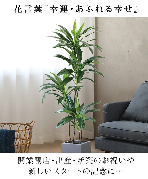 人工観葉植物 フェイクグリーン ドラセナ ワーネッキー 高さ約157 