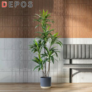 r[Tt tFCNO[ ^  I[u ϗtA tFCN A  i` hZi [lbL[ Velveteen y^zցz