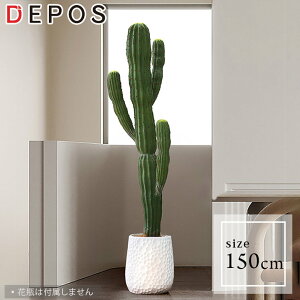 r[Tt tFCNO[ ^  ϗtA  tFCN A    A S ȒP T{e150cm cactus y^zցzhnw1