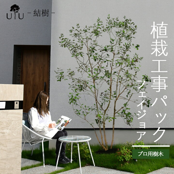 楽天市場】【施工付植木/近畿地域限定】 シンボルツリー 庭木 植木 