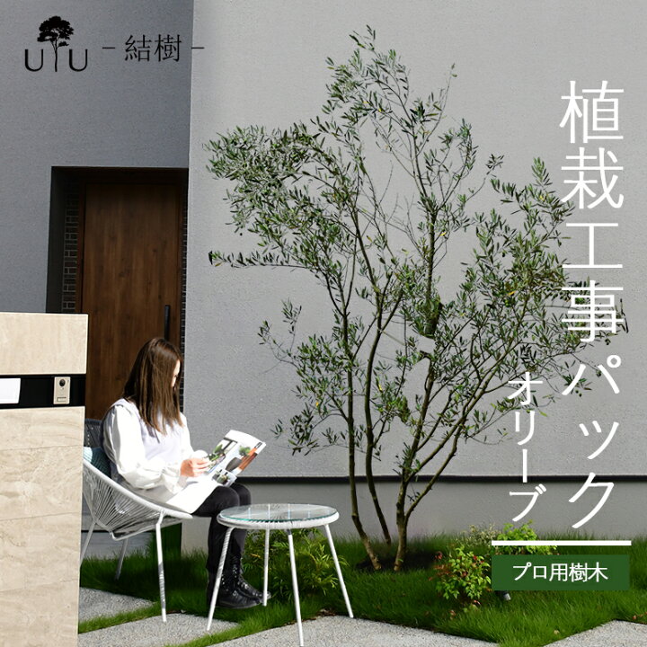 楽天市場】【施工付植木/近畿地域限定】 シンボルツリー 庭木 植木 