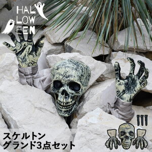 nEB  O   K[f  t [ hN KCRc XJ  ΂ p[eB[ Cxg AEghA XPg OhCT[gZbg ASLX-08741