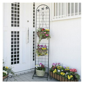 nMOX^h@AeB[N[tij/RCP