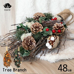 NX}X XbO CeA Ǌ| Ǐ  k CeA  X  fBXvC NX}XXbO u`c[ LTCY 48cm