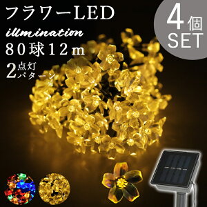 C~l[V \[[Cg LED ݂   Ԍ^ t[ LEDC~l[V \[[ Cg Ɩ  O   킢 t K[f  NX}X d \[