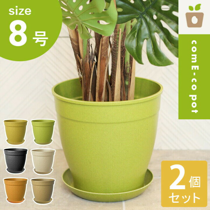 楽天市場】植木鉢 24cm 2個セット おしゃれ かわいい プランター 軽量  