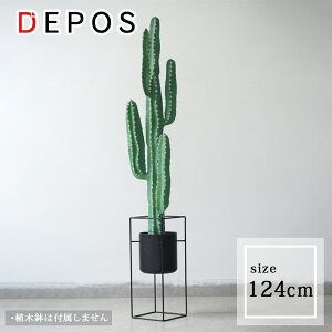 r[Tt tFCNO[ ^  ϗtA tFCN A  i` T{e xPC`E 124cm y^zցz