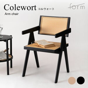 _CjO`FA `FA VR I[N ^ i` ubN form tH[ REH[g A[`FAy[J[ / Esz