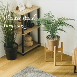 v^[bN K[fbN t[bN t[X^h X ȃXy[X x_  StbNt v^[X^h LTCY