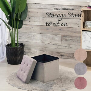 [{bNX [P[X ܂ݎ x[W sN O[ t^t 킢 傫 q RpNg[Xc[ 30cm