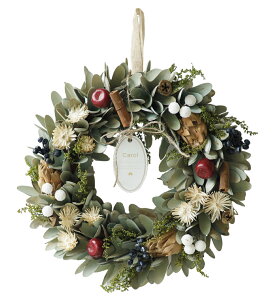 yX[p[Z[艿i 12/11 01F59܂Łz r[Tt i`[X NX}X[X [X  k  i`  ~ NX}X Mtg CeA X  