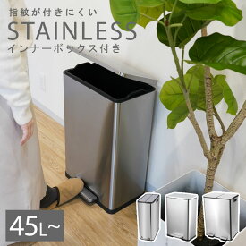 ゴミ箱 ダストボックス ステンレス スタイリッシュ キッチン 蓋付き プラスチック おしゃれ 新生活 ゴミ箱 シンプル 清潔感 ステンレス ダストボックス 45L 30L×2