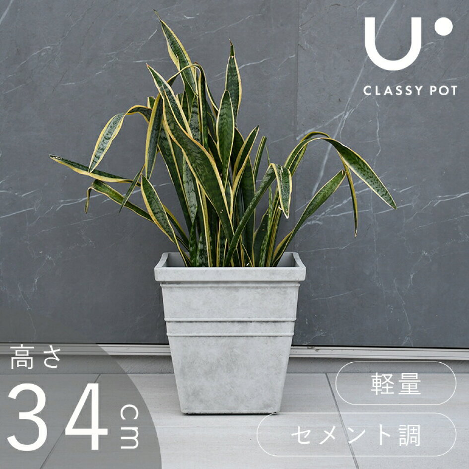楽天市場 | DEPOS（デポス） - 陶器のような質感の植木鉢【classy-pot】