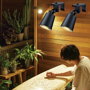 K[fCg Ђmx[V ̂ЂZbg LGL-LH05P K[fCg OpƖ [{gCg vOCg CgAbv