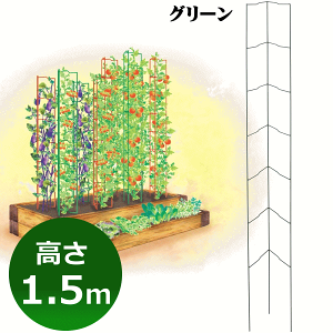 家庭菜園 トマト 支柱の通販 価格比較 価格 Com