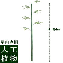 楽天市場】竹 白竹 4mの通販
