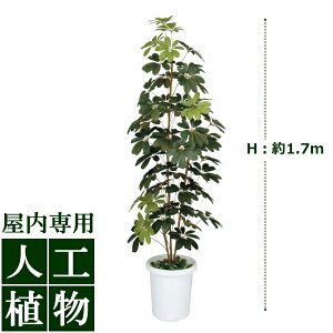 /lHA/O[fR@~jVFt@1.7m/