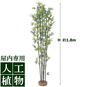 /lHA/O[fR@|5{@1.8mij@/